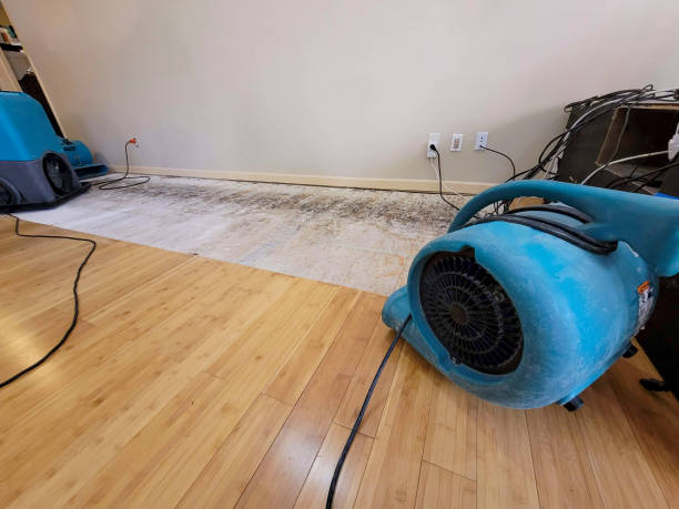 Professional Water Extraction technician working in Paramus, NJ